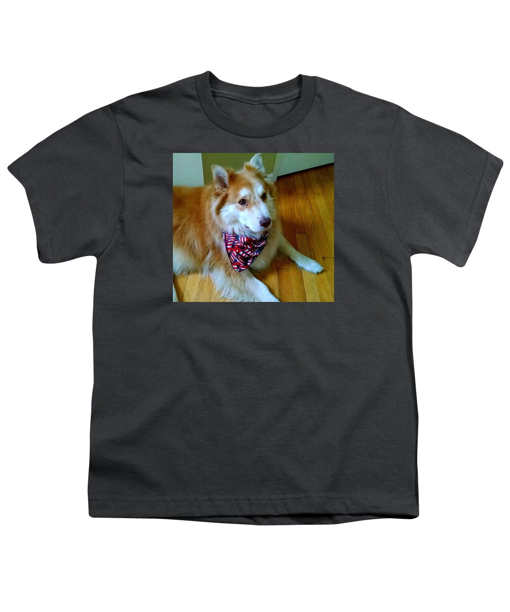 Dog Youth T-Shirt featuring the photograph The Wonder Dog #7 by Brad Nellis