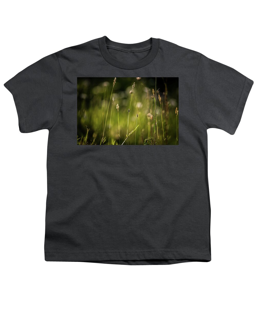 Field Youth T-Shirt featuring the photograph Daisy Flower Bloom On A Meadow In Summer #8 by Alex Grichenko