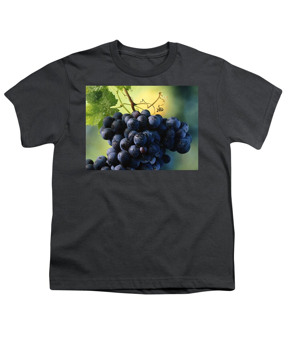 Grapes Youth T-Shirt featuring the photograph Grapes #9 by Mariel Mcmeeking