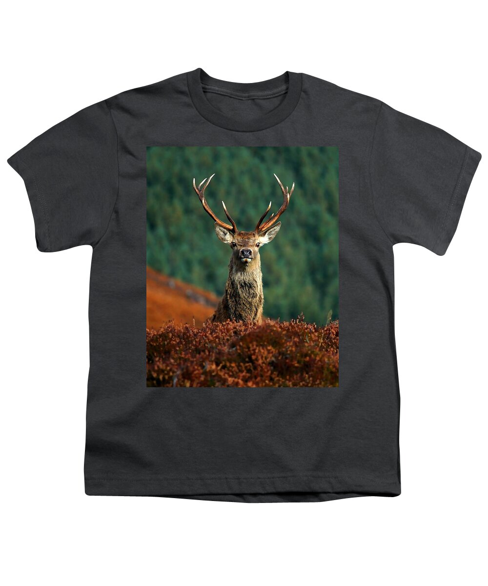 Red Deer Stag Youth T-Shirt featuring the photograph Red deer stag #9 by Gavin Macrae