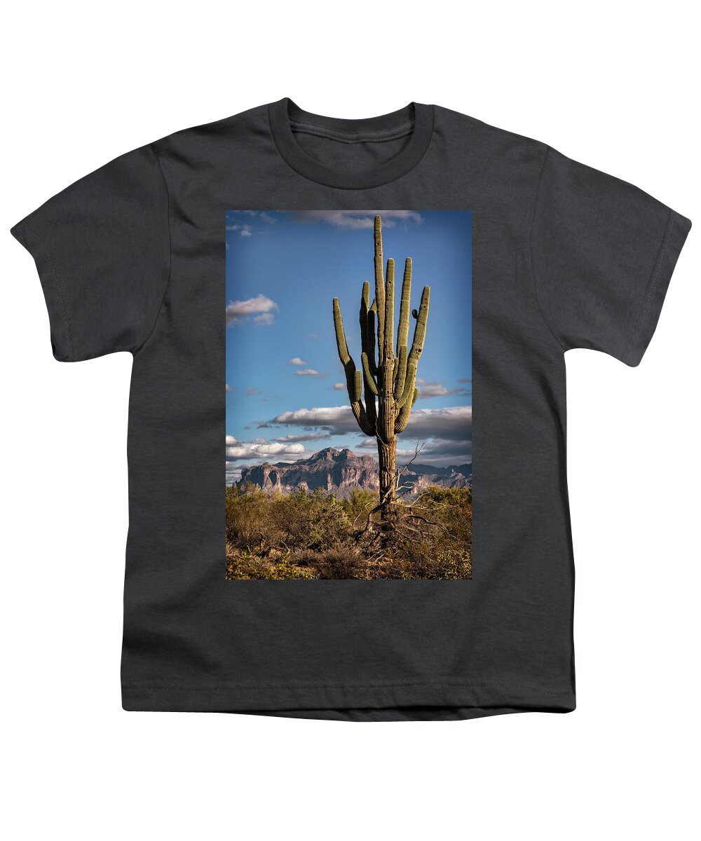 Saguaro Cactus Youth T-Shirt featuring the photograph A Southwest Winter Day by Saija Lehtonen