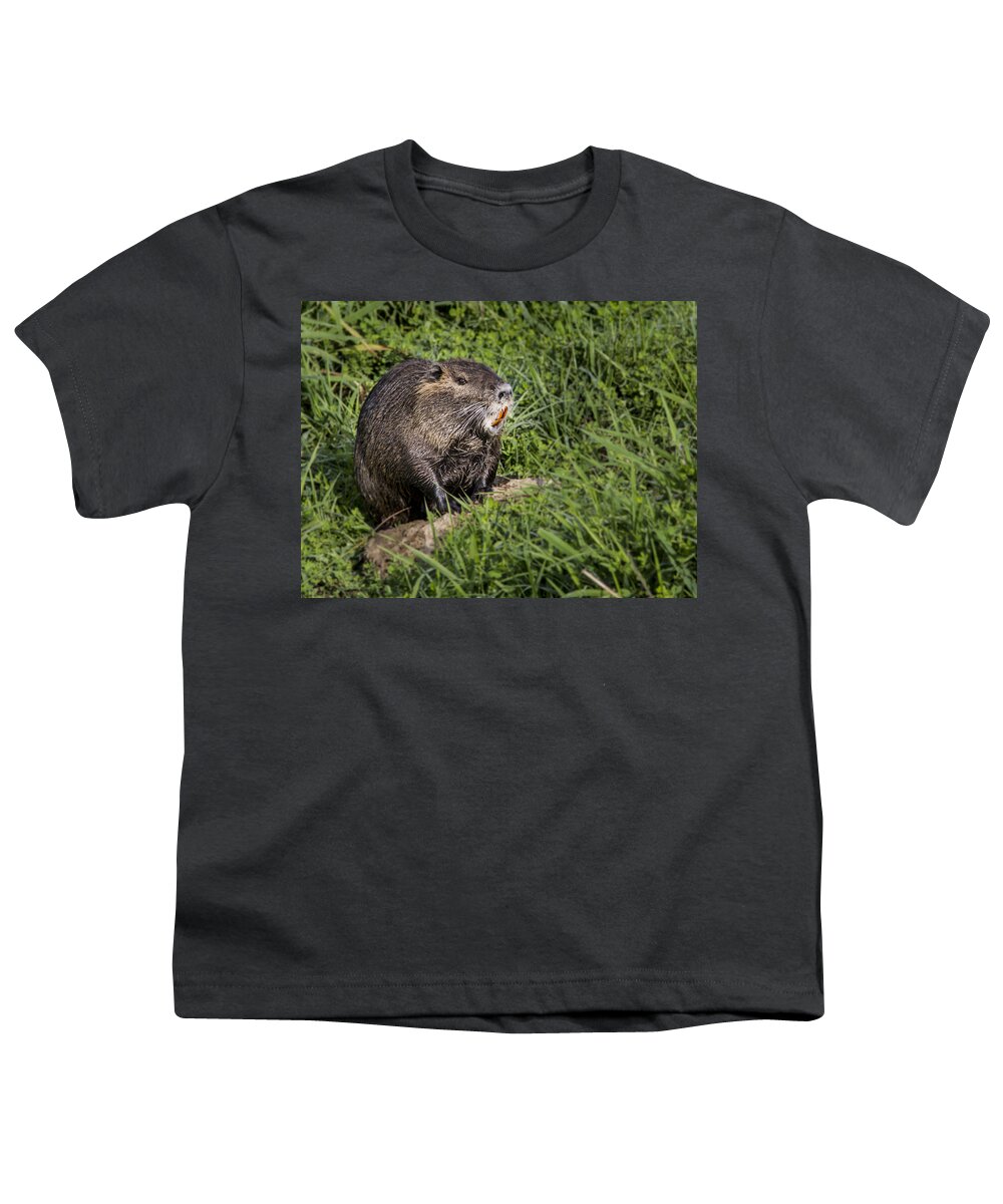 Jean Noren Youth T-Shirt featuring the photograph A Toothy Nutria by Jean Noren