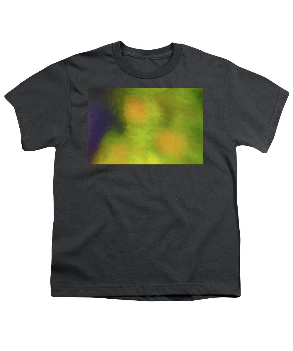Jupiter Inlet Youth T-Shirt featuring the photograph Abstract Untitled by Steve DaPonte