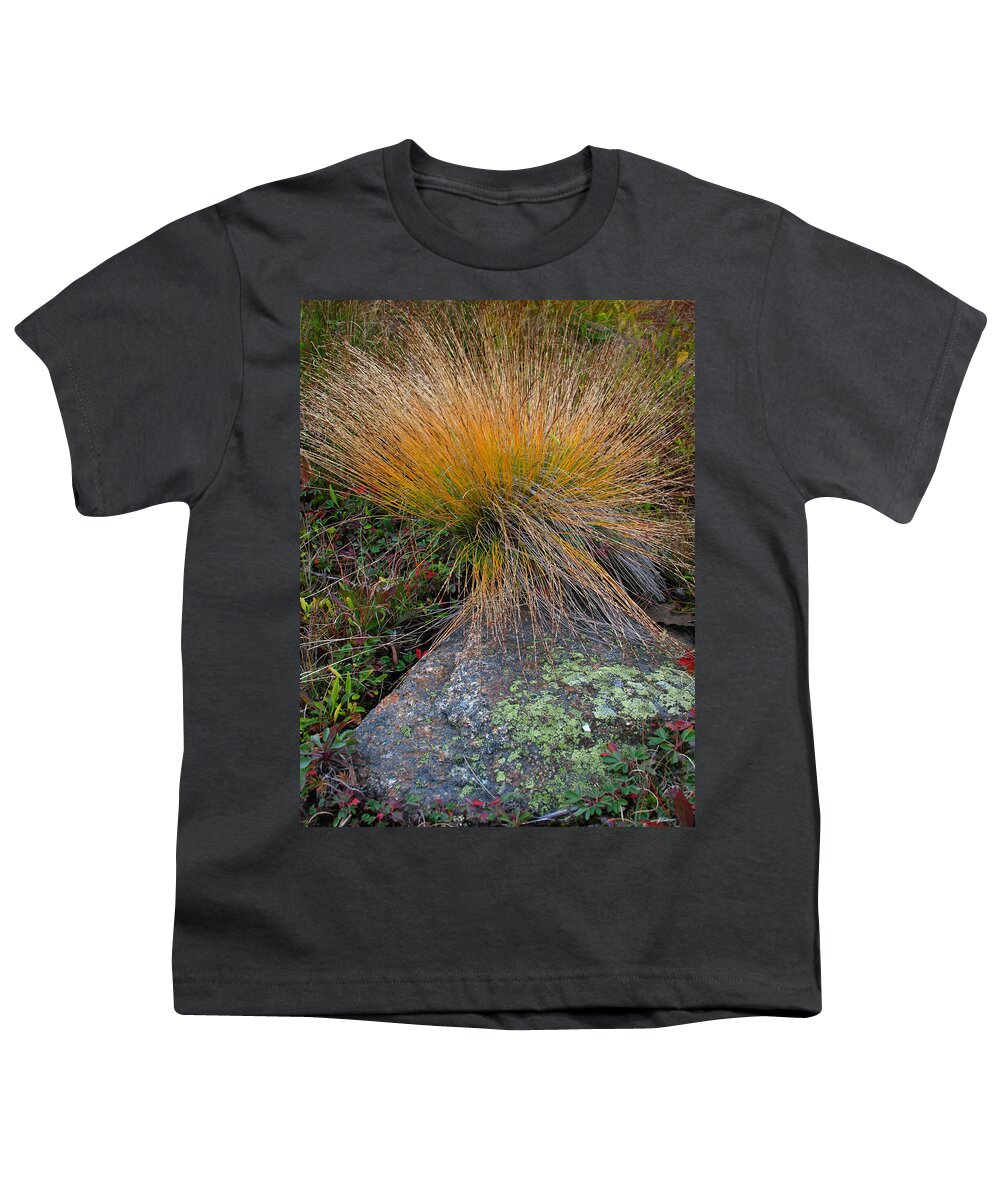 Acadia Np Youth T-Shirt featuring the photograph Acadia National Park Scrubs by Juergen Roth