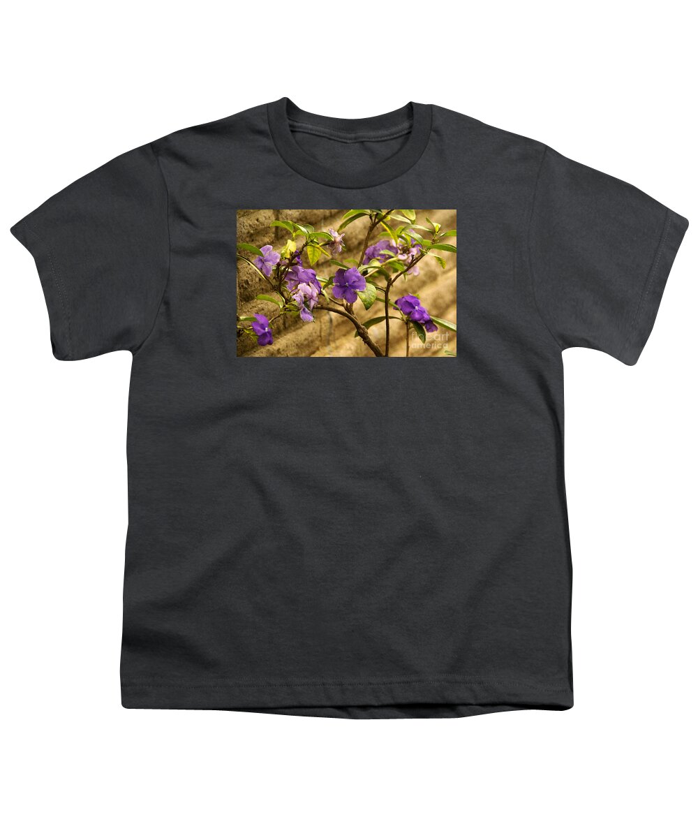 Adobe-wall Youth T-Shirt featuring the photograph Adobe Garden Wall by Linda Shafer