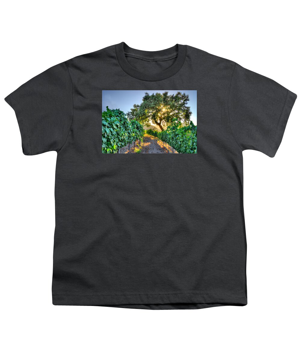Carmel Valley Youth T-Shirt featuring the photograph Afternoon in the Vineyard by Derek Dean