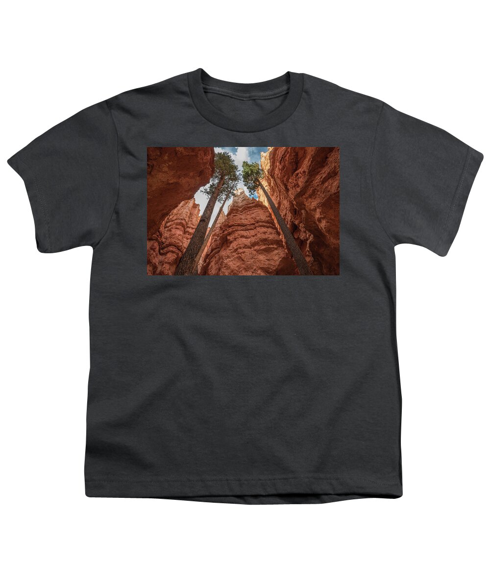 Tree Youth T-Shirt featuring the photograph Against the Odds by Jody Partin