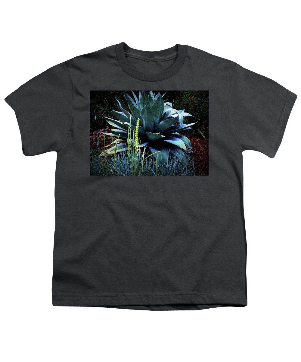  Maguey Plant Youth T-Shirt featuring the photograph Agave Americana by Diana Mary Sharpton