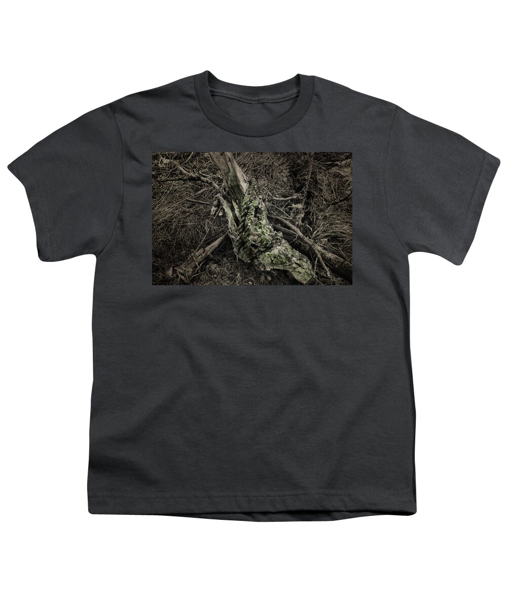Tree Limb Youth T-Shirt featuring the photograph All That Remains by Sue Capuano