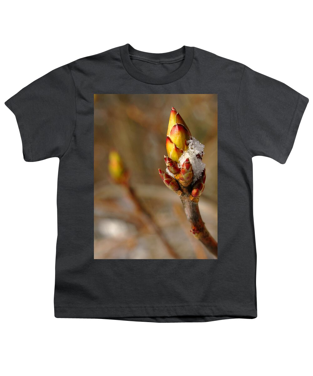 Tree Youth T-Shirt featuring the photograph Almost There by Juergen Roth