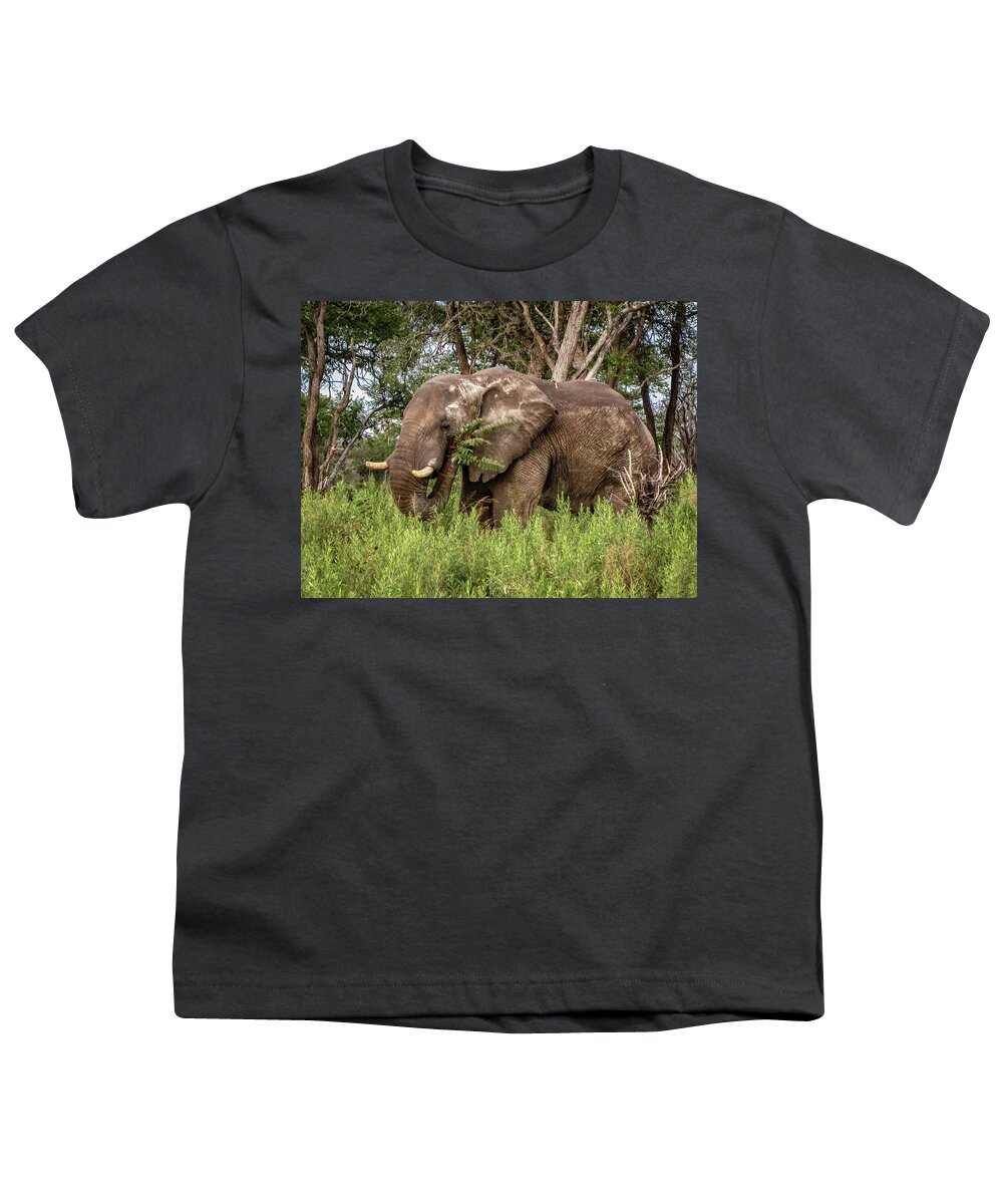 100324 Botswana & Zimbabwe Expeditions Youth T-Shirt featuring the photograph Alpha Male Elephant by Gregory Daley MPSA