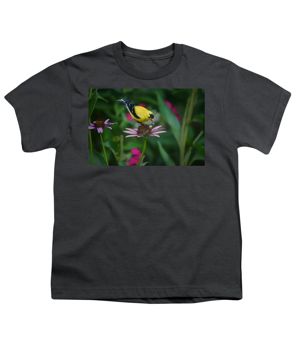 Birds Youth T-Shirt featuring the photograph American Goldfinch - 2 by Nikolyn McDonald