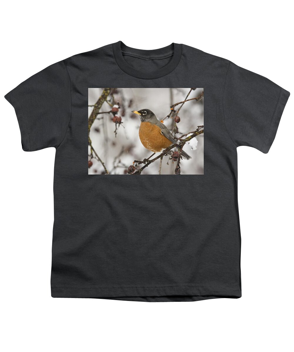American Robin Youth T-Shirt featuring the photograph American robin by Mariel Mcmeeking
