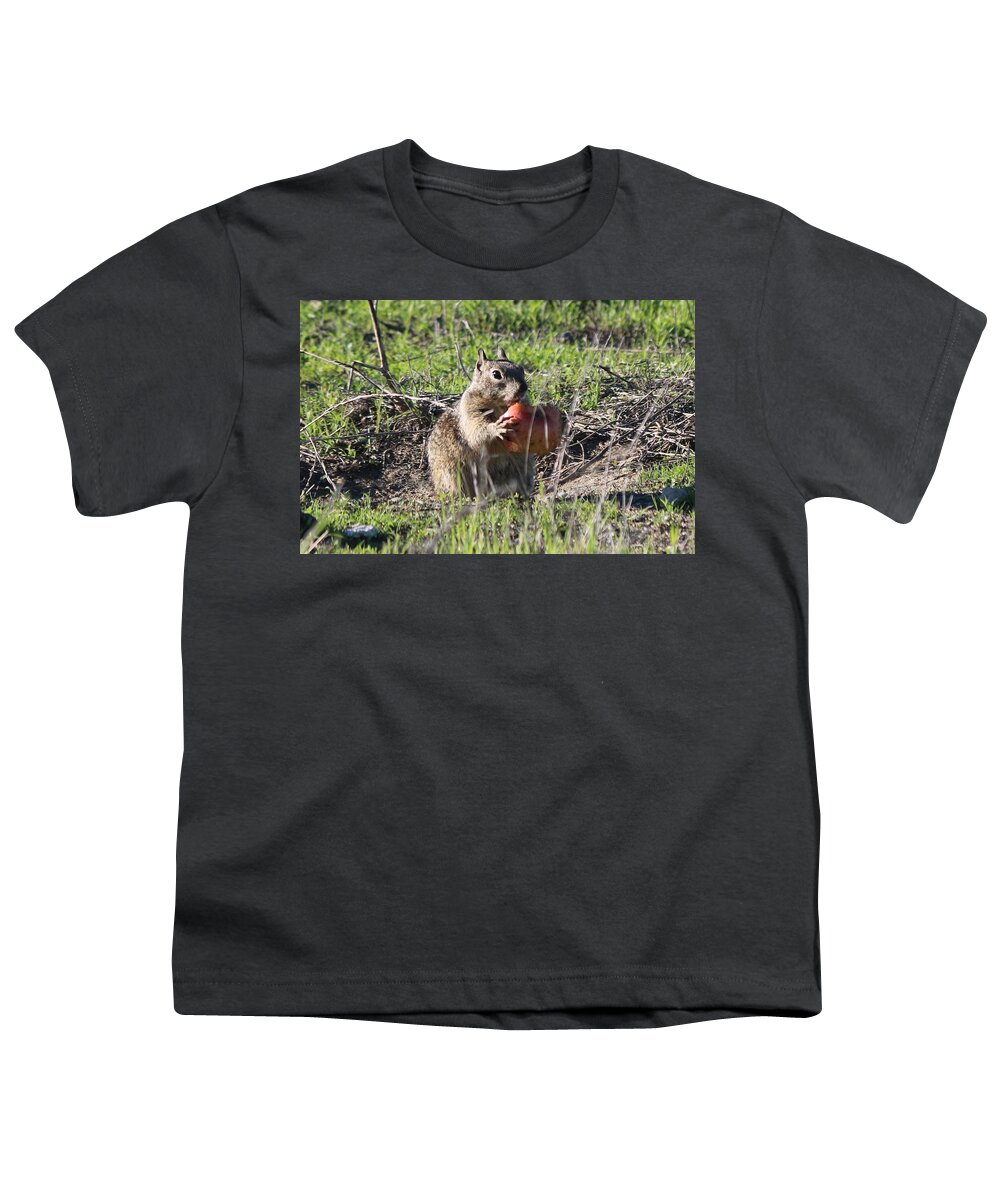 Squirrel Youth T-Shirt featuring the photograph An Apple A Day by Christy Pooschke