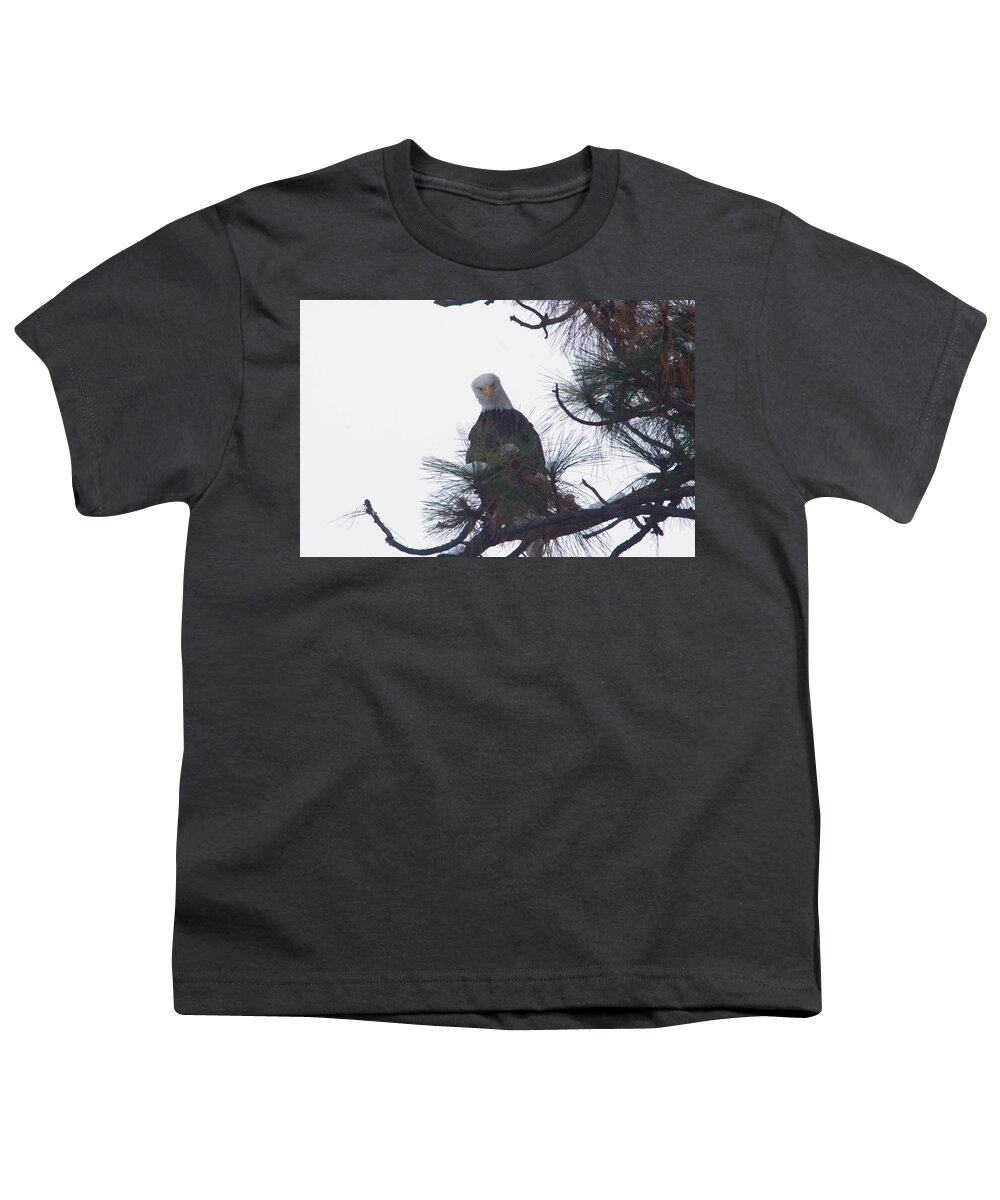 Eagle Youth T-Shirt featuring the photograph An eagle looks down by Jeff Swan