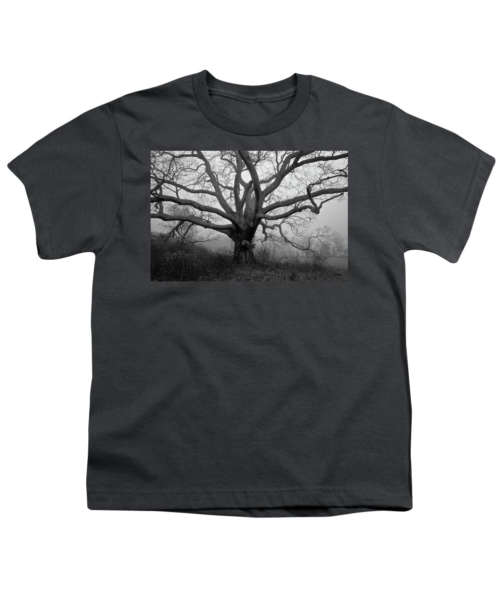 Easton Youth T-Shirt featuring the photograph Ancient Oak Tree V - Sheep Pasture by David Gordon