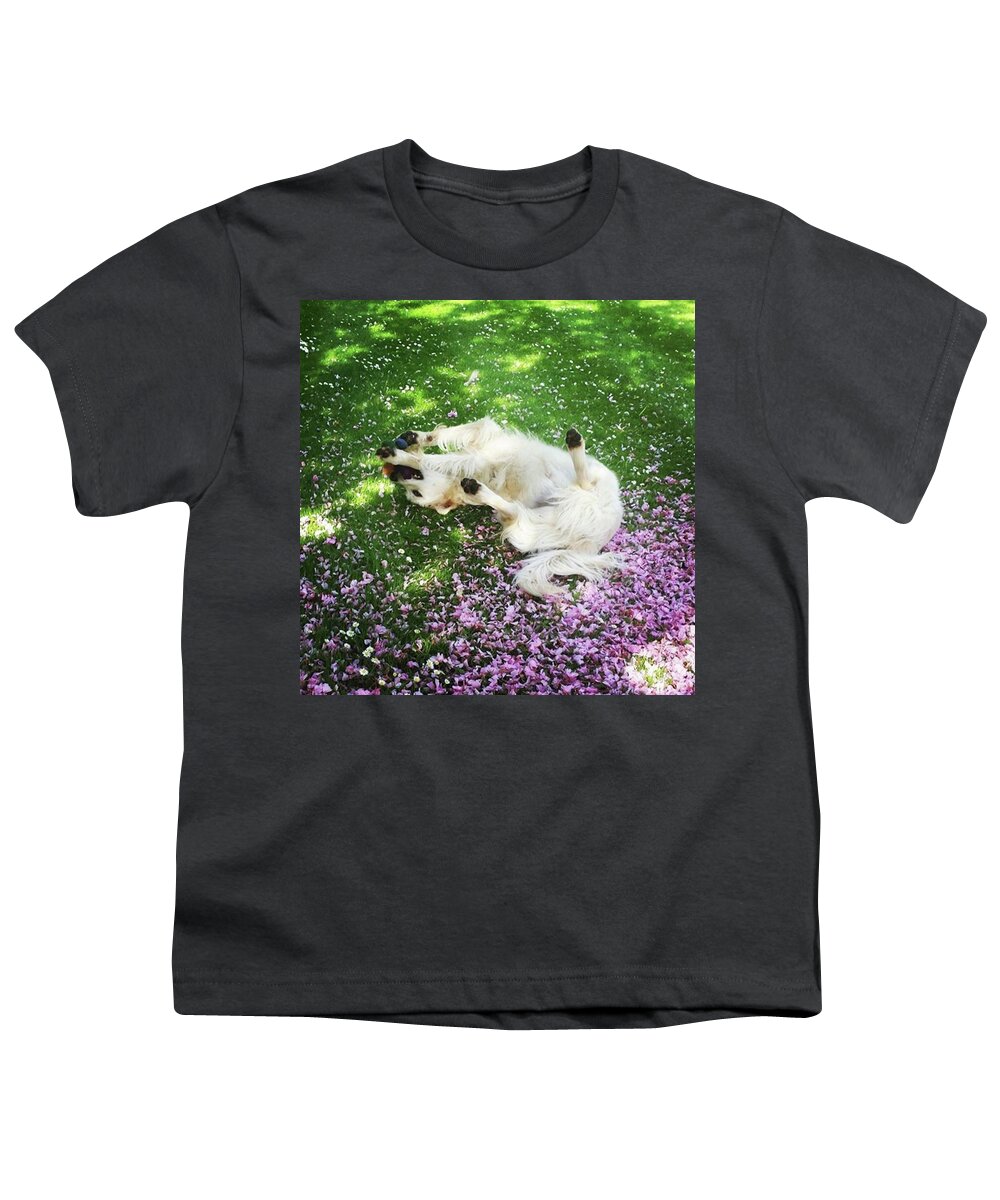 Dog Youth T-Shirt featuring the photograph Cherry Blossom Play by Rowena Tutty