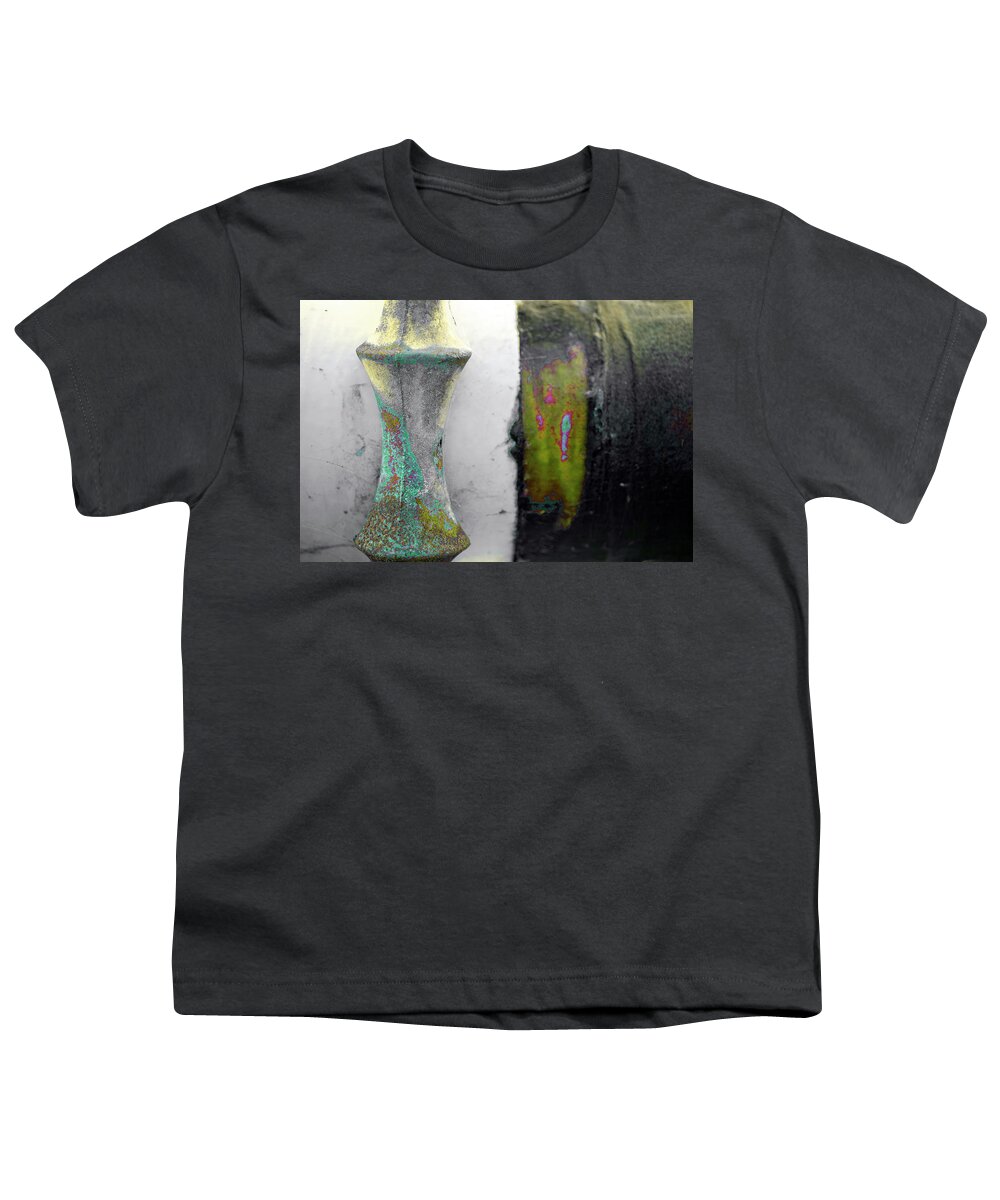 Art Prints Youth T-Shirt featuring the photograph Art Print Misc 10 by Harry Gruenert