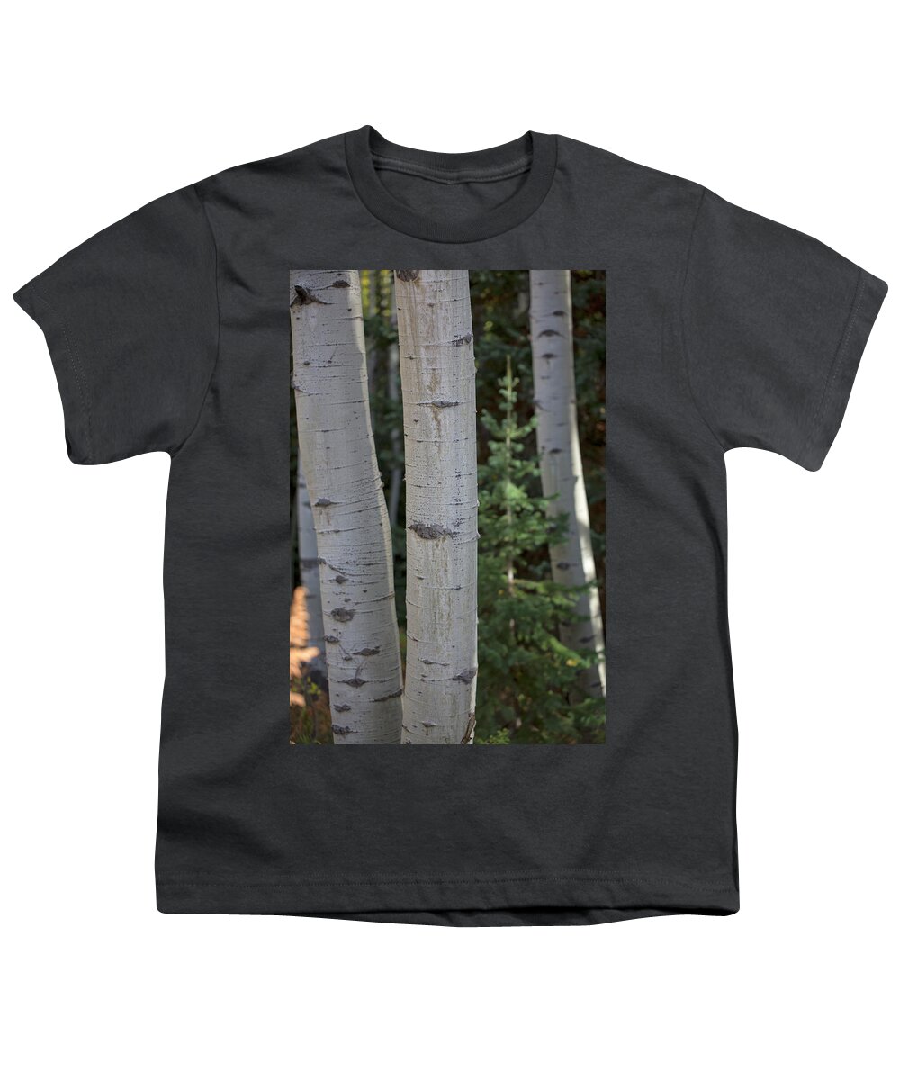 Aspen Youth T-Shirt featuring the photograph Aspen with Pine by Nancy Dunivin