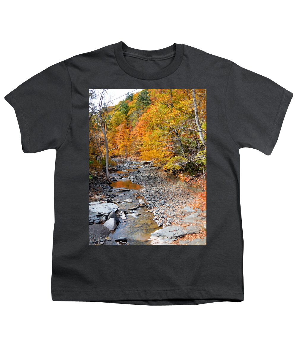 Autumn Creek Youth T-Shirt featuring the painting Autumn creek 6 by Jeelan Clark