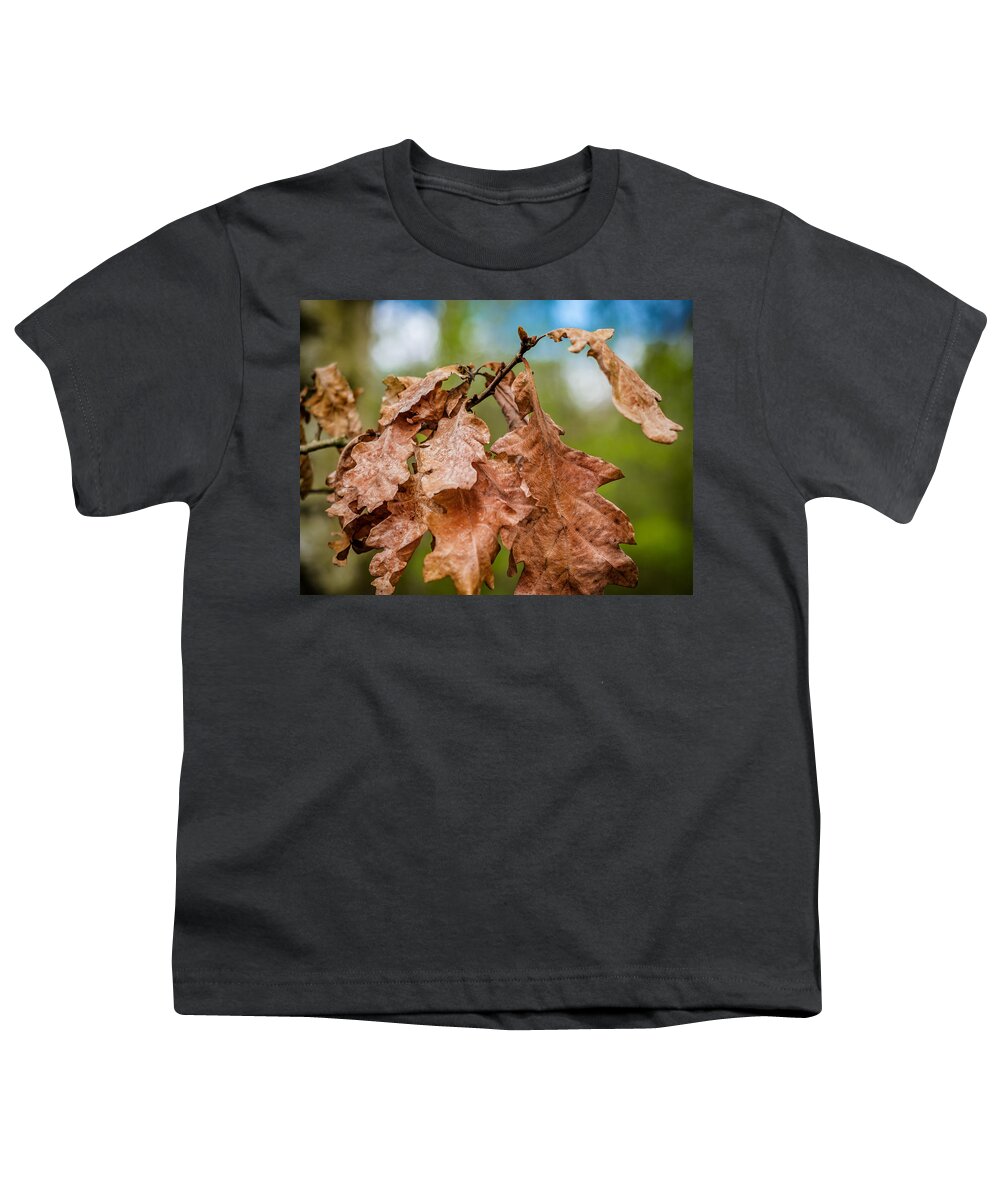 2016 Youth T-Shirt featuring the photograph Autumn Leaves by Nick Bywater