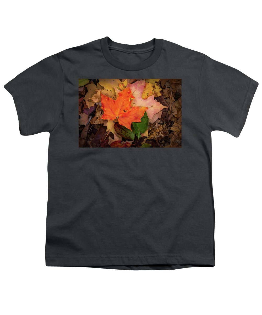 Terry D Photography Youth T-Shirt featuring the photograph Autumn Love by Terry DeLuco