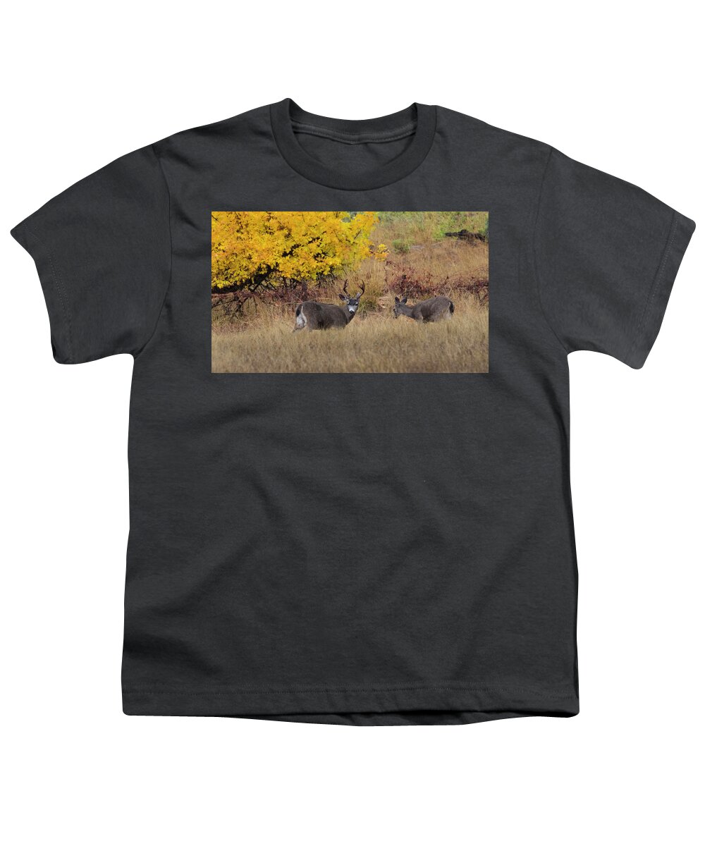 Deer Youth T-Shirt featuring the photograph Autumn Moments by Steven Clark