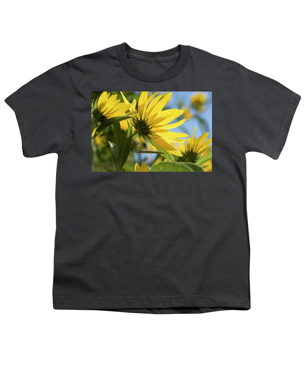 Blue Youth T-Shirt featuring the photograph Autumn Sunshine by Holly Ross