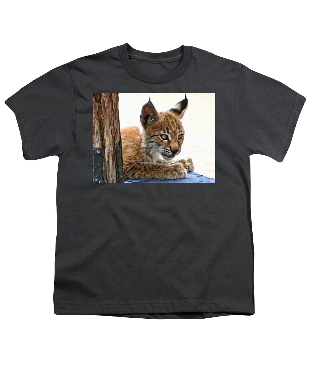 Lynx Youth T-Shirt featuring the photograph Baby Lynx by Amy McDaniel