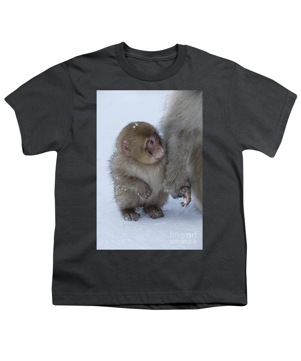 Japanese Macaque Youth T-Shirt featuring the photograph Baby Snow Monkey by Jean-Louis Klein & Marie-Luce Hubert