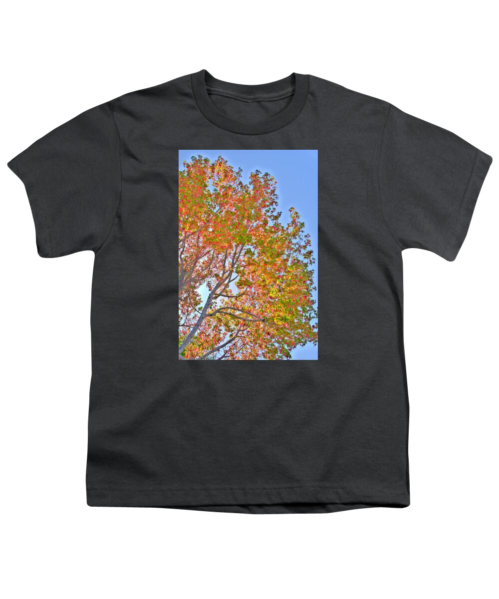 Fall Youth T-Shirt featuring the photograph Ball to the Wall Fall by Derek Dean