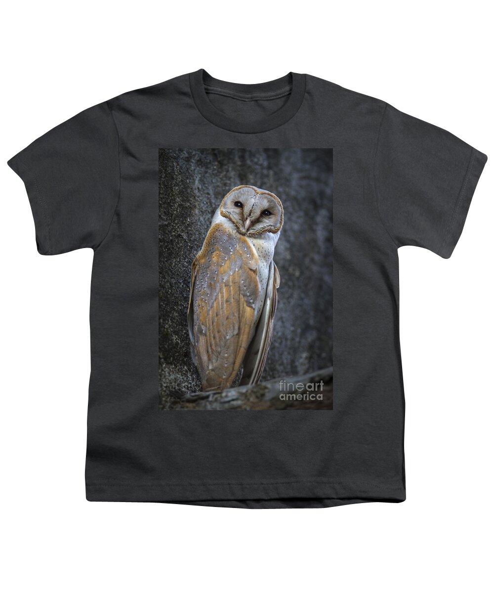Barn Owl Youth T-Shirt featuring the photograph Barn Owl by Hitendra SINKAR