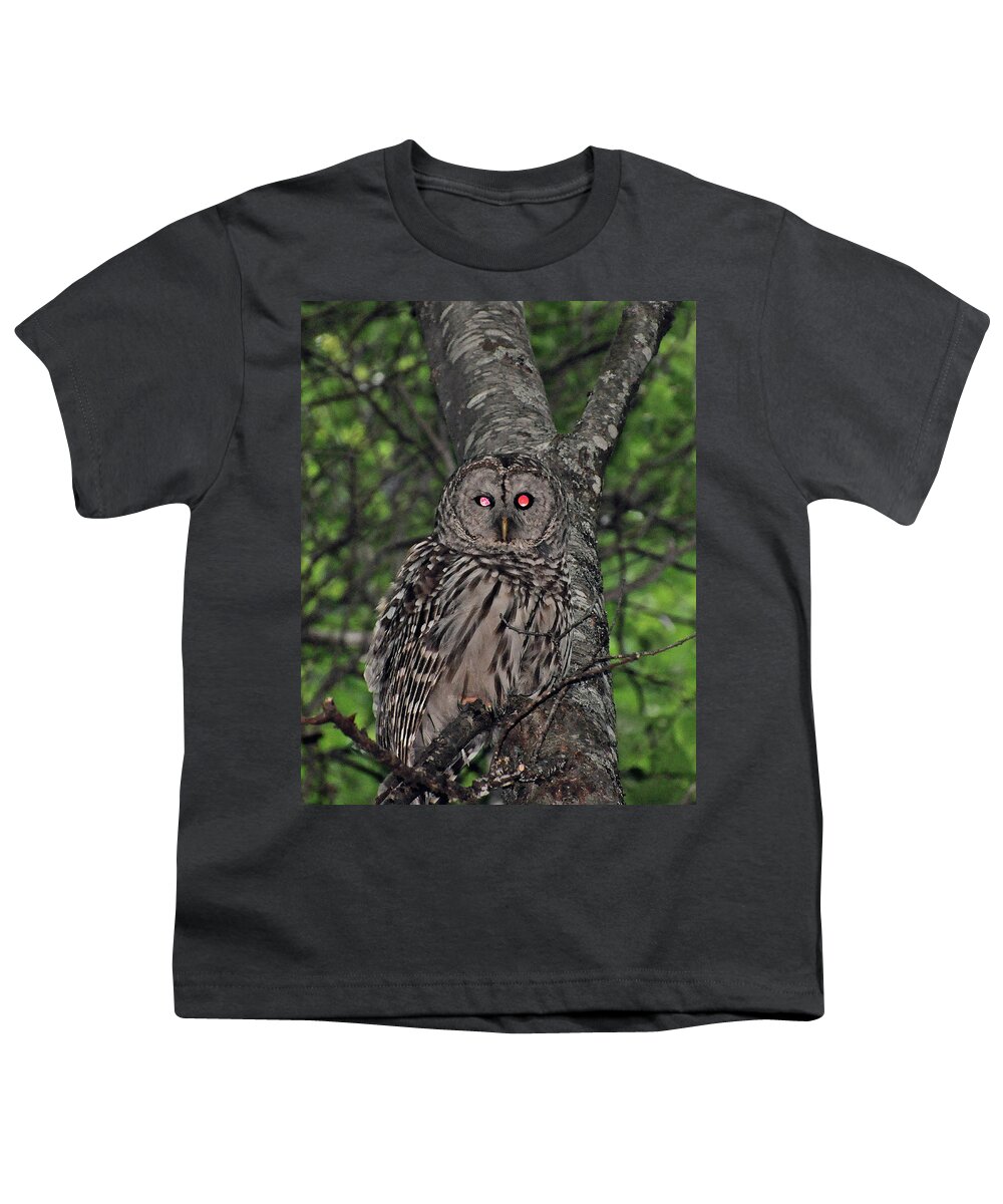 Owl Youth T-Shirt featuring the photograph Barred Owl 3 by Glenn Gordon