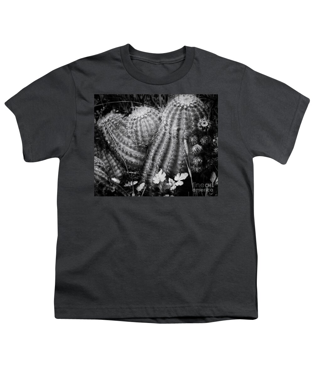 Cactus Youth T-Shirt featuring the photograph Barrel Cactus by Toma Caul