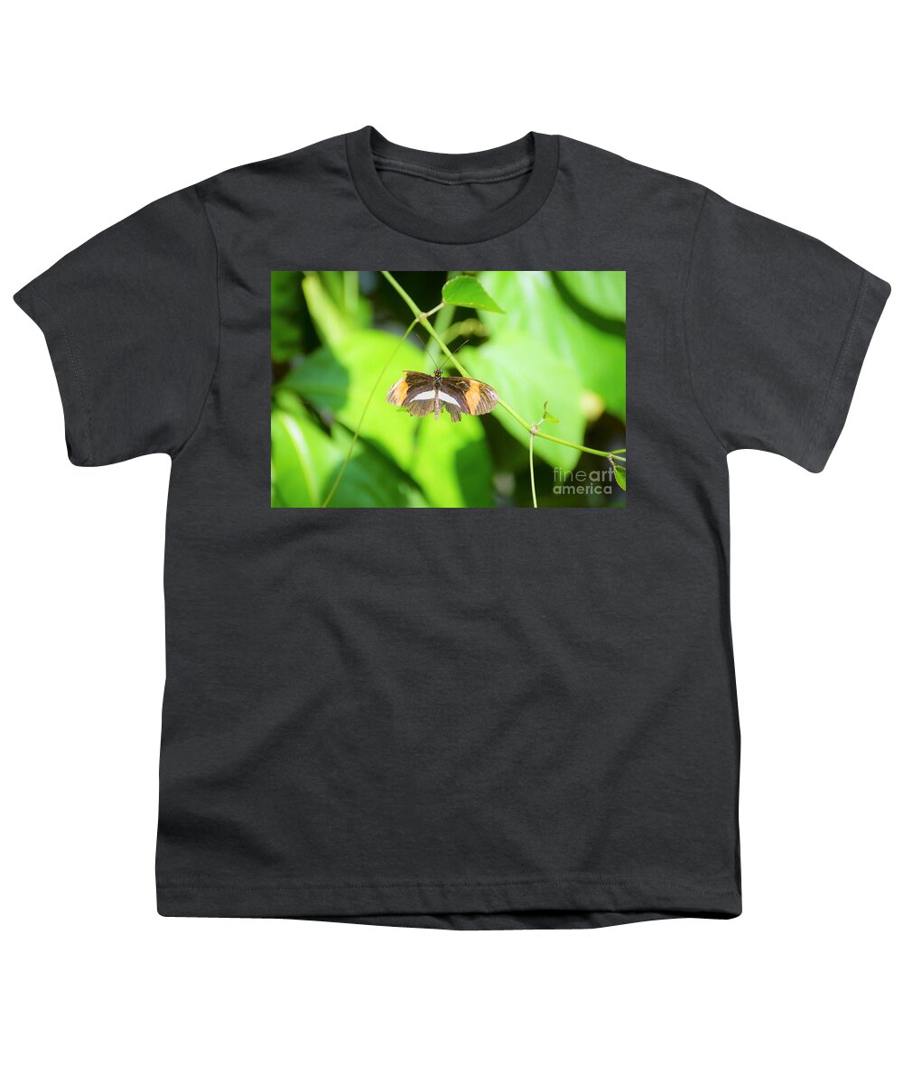 Cleveland Ohio Butterfly Youth T-Shirt featuring the photograph Battle-worn Survivor by Merle Grenz