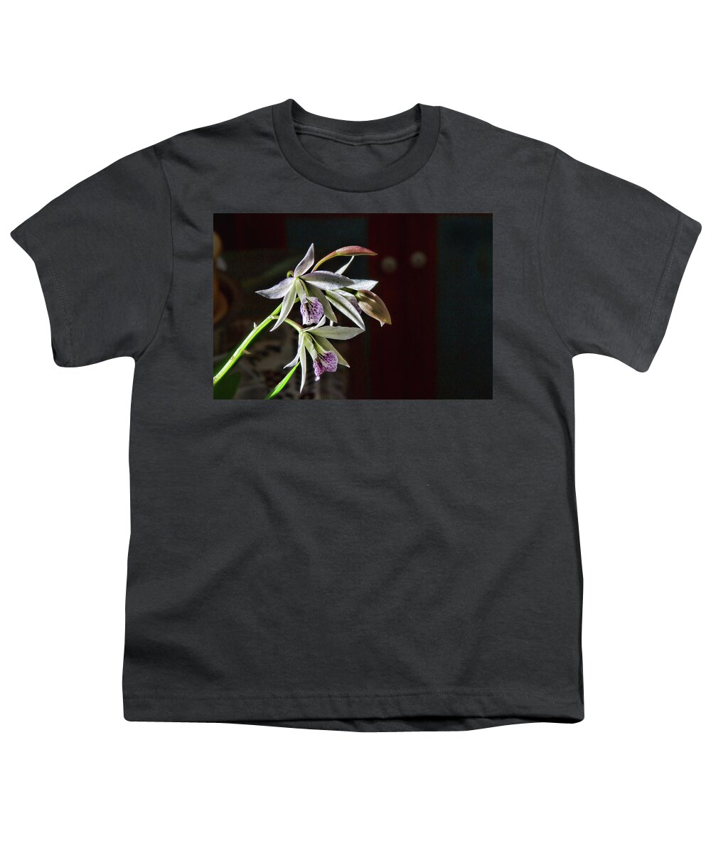 Orchid Youth T-Shirt featuring the photograph Ghillanyara Haleahi 1 by Alana Thrower