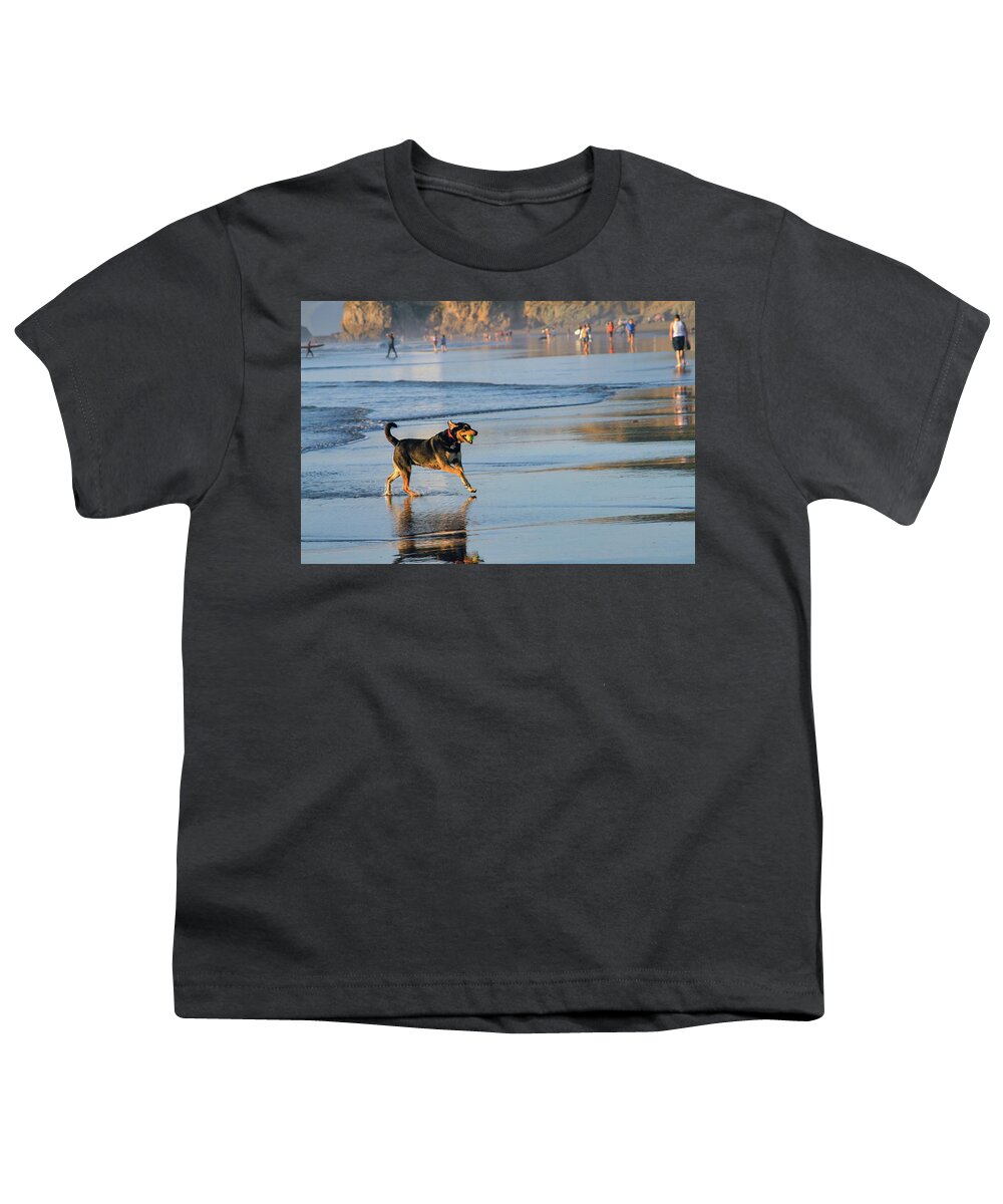 Bonnie Follett Youth T-Shirt featuring the photograph Beach Dog Playing Fetch by Bonnie Follett