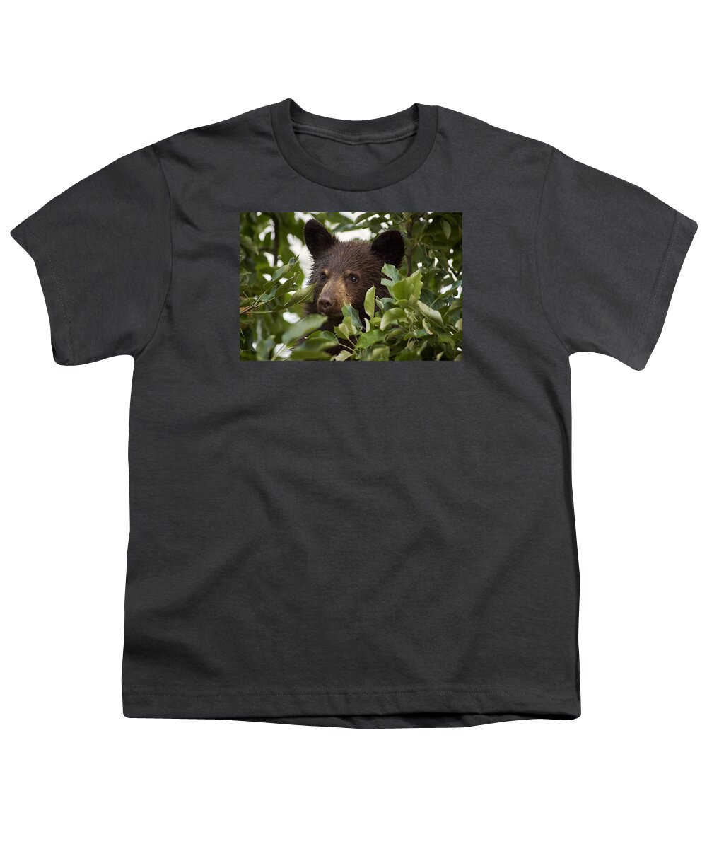 Black Bear Youth T-Shirt featuring the photograph Bear Cub in Apple Tree6 by Loni Collins