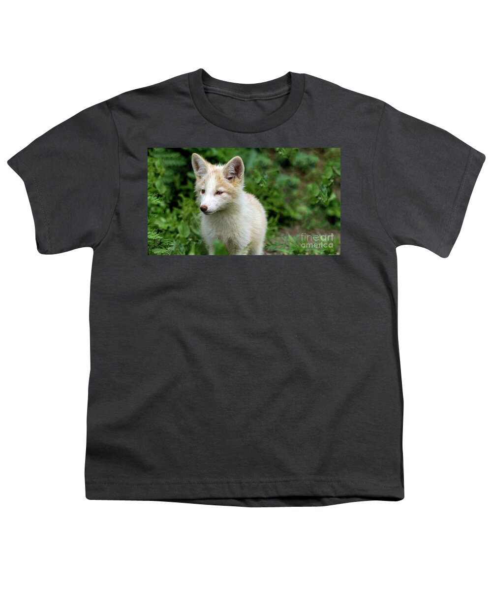 Fox Youth T-Shirt featuring the photograph Beautiful young fox portrait by Sam Rino