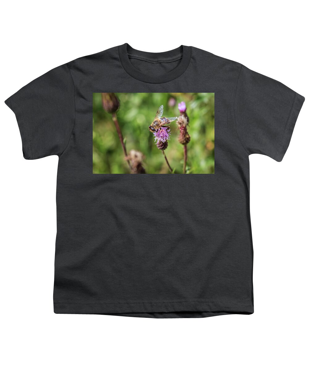 Animal Youth T-Shirt featuring the photograph Bee on a thistle flower by Tim Abeln