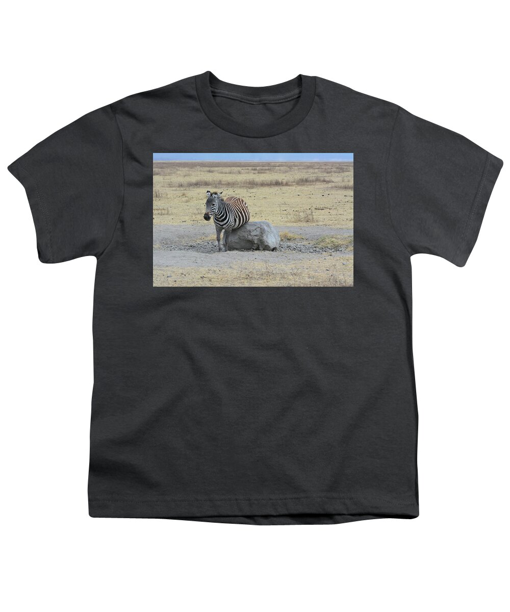 Zebra Youth T-Shirt featuring the photograph Belly Rub Rock by Don Mercer