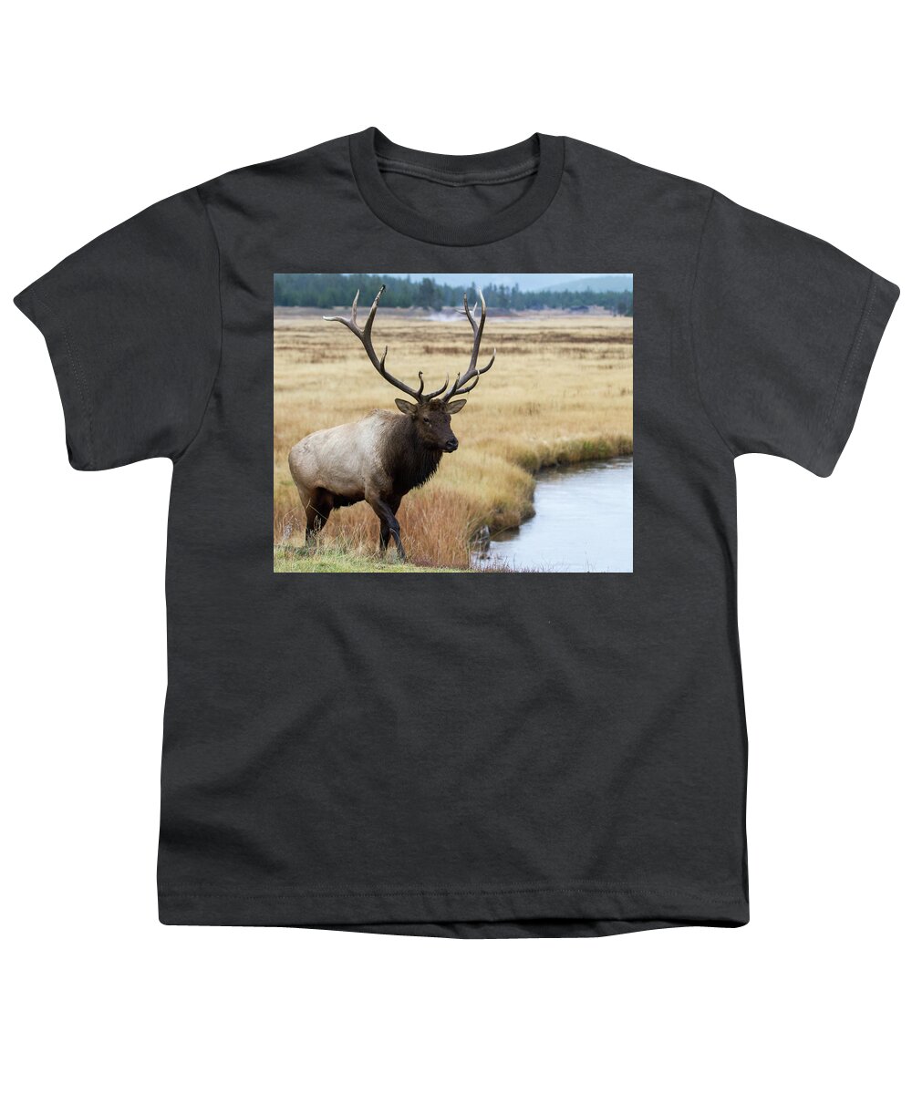Elk Youth T-Shirt featuring the photograph Big Bull Elk by Wesley Aston