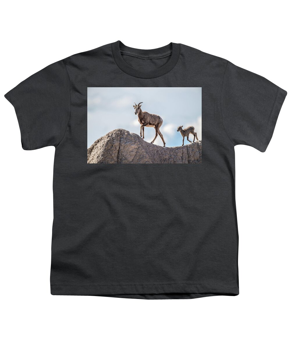 Big Youth T-Shirt featuring the photograph Big Horns out for a Stroll by Paul Freidlund