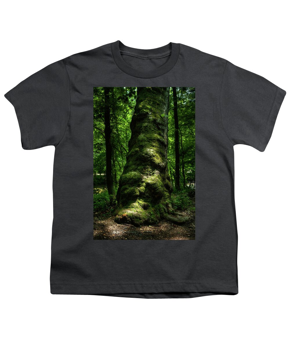 Maryland Youth T-Shirt featuring the photograph Big Moody Tree in Forest by Dennis Dame