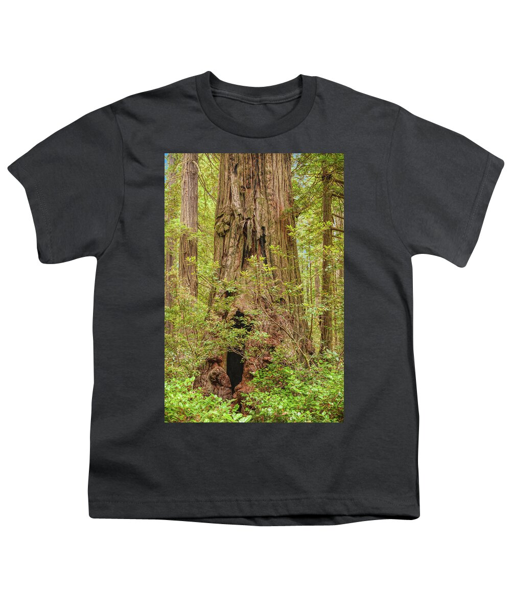 Landscape Youth T-Shirt featuring the photograph Big Red by John M Bailey