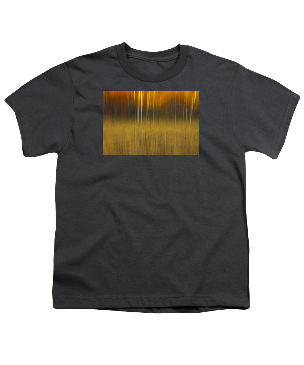 Abstract Youth T-Shirt featuring the photograph Birch At The Edge Of The Field 2015 by Thomas Young