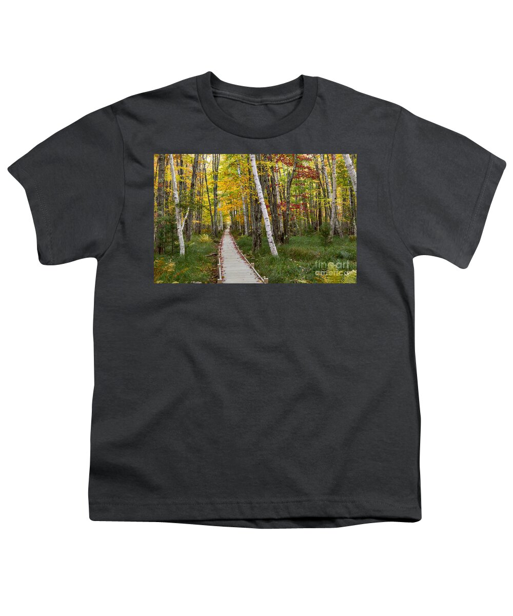 Maine Youth T-Shirt featuring the photograph Birch Boardwalk by Karin Pinkham