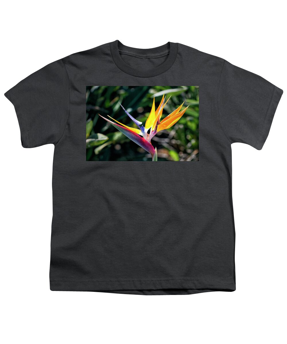 Granger Photography Youth T-Shirt featuring the photograph Bird Of Paradise by Brad Granger