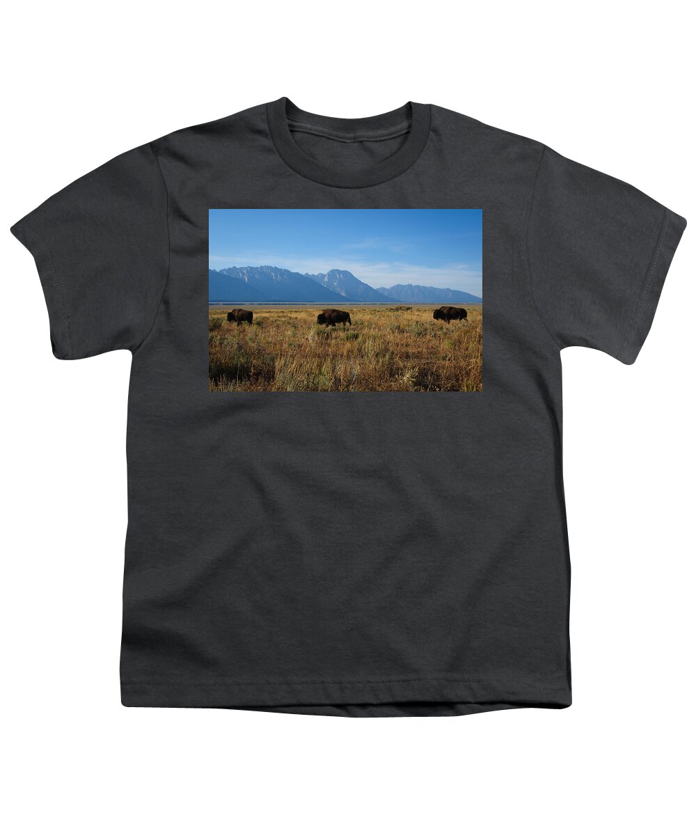 Sky Youth T-Shirt featuring the photograph Bisons in the Tetons by Roberta Kayne