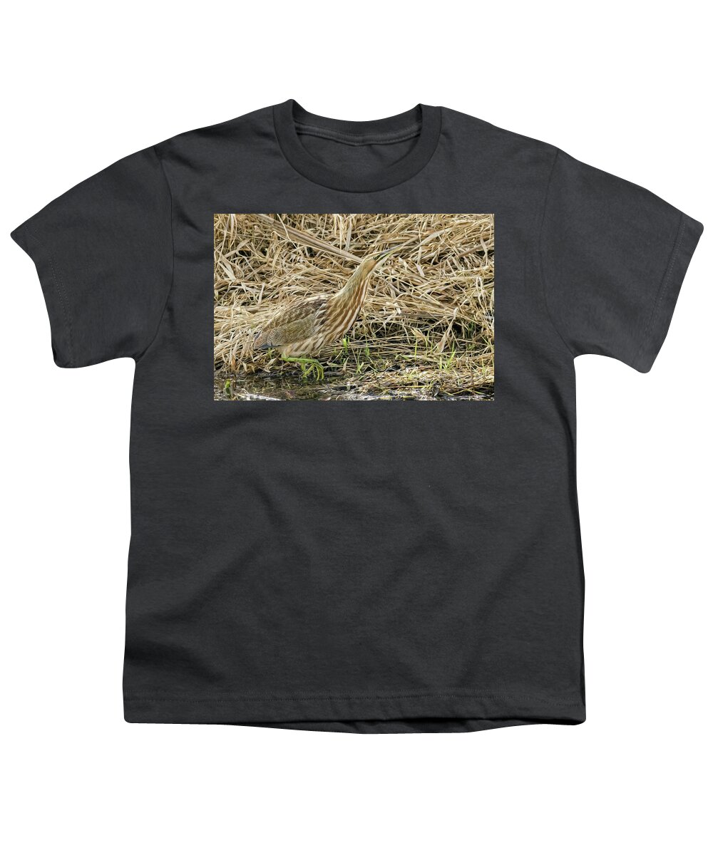Bittern On The Hunt Youth T-Shirt featuring the photograph Bittern on the Hunt by Wes and Dotty Weber